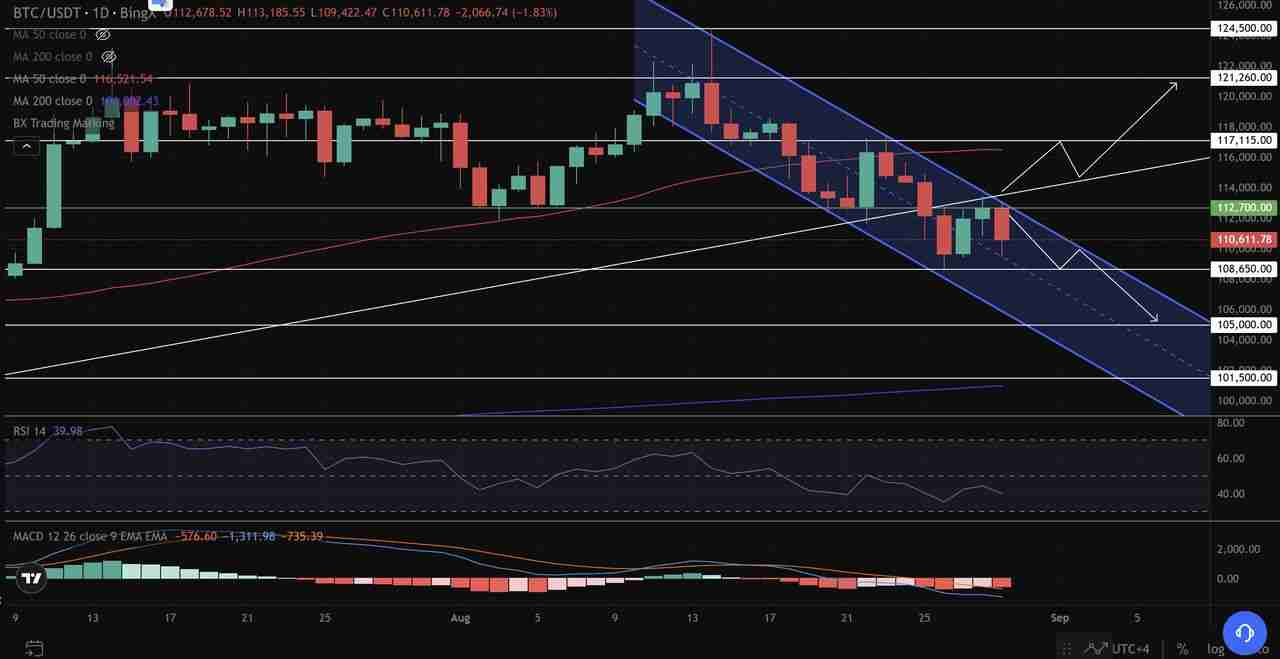 比特币达$11万,核心通膨2.9%:BTC 会突破通道吗?